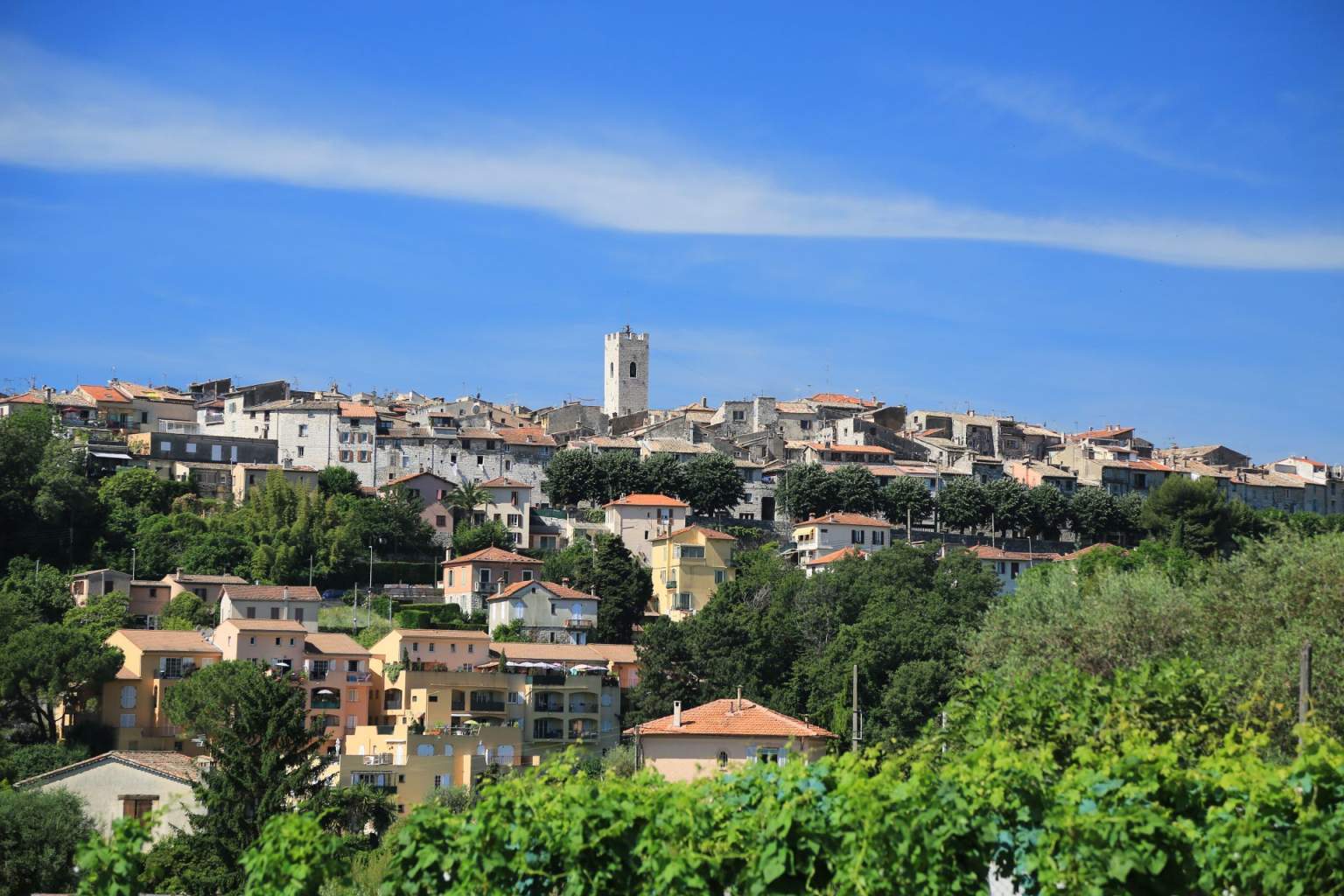 vence sea nature